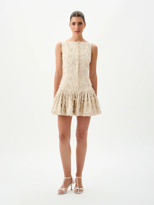 Basil Mini Dress | ROAME