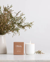 Load image into Gallery viewer, Candle - Banksia &amp; Cassia Bark | Olieve &amp; Olie