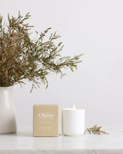 Load image into Gallery viewer, Candle - Bush Cucumber &amp; Sea Salt | Olieve &amp; Olie