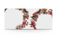 Load image into Gallery viewer, New Moon Kit / Bondi Wash