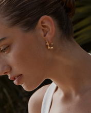 Load image into Gallery viewer, Borage Earrings | Amber Sceats