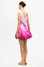 Load image into Gallery viewer, Garrans Mini Dress | Acler