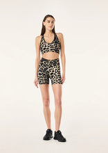 Load image into Gallery viewer, Wander 5&quot; Bike Short Leopard Print &amp; Smokestone | P.E Nation
