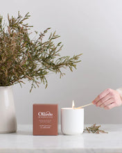 Load image into Gallery viewer, Candle - White Jasmine &amp; Cedarwood | Olieve &amp; Olie