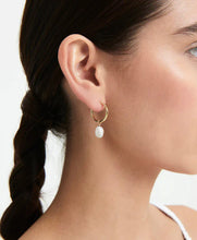 Load image into Gallery viewer, Mini Keshi Pearl Hoops Gold / Saint Valentine