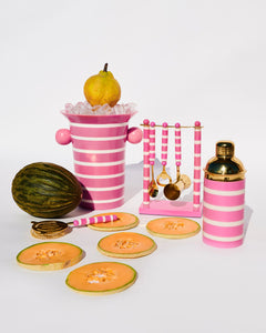 Gypsy Rose Strip Resin Cocktail Shaker One Size | Kip & CoGypsy Rose Stripe Resin Bar Tool Set | Kip & Co